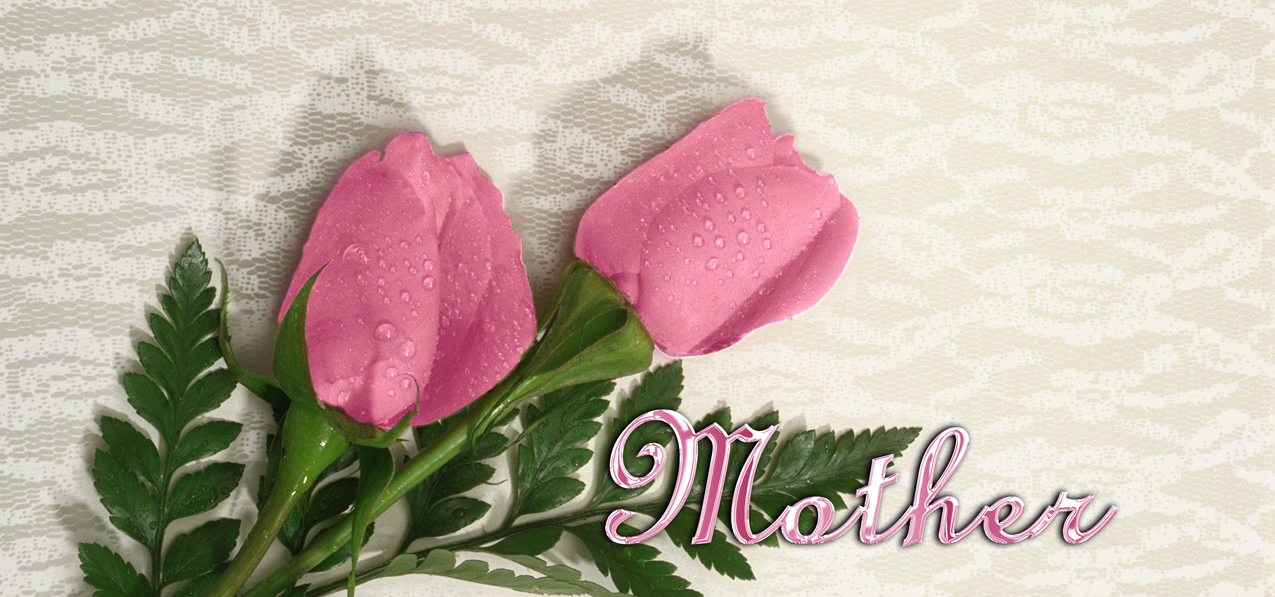 HP-AG-254-M 2 Roses Pink Mother